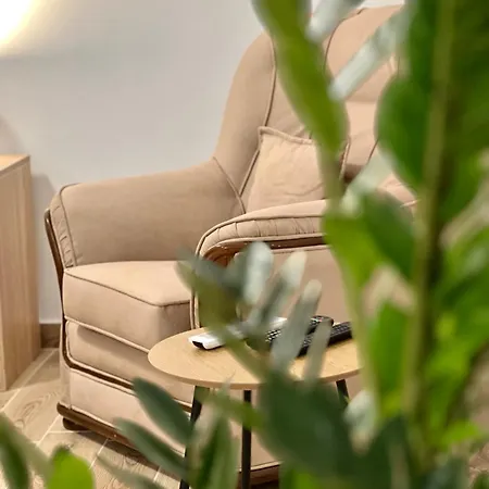 Chestnut Apartments Βελιγράδι Εξωτερικό φωτογραφία